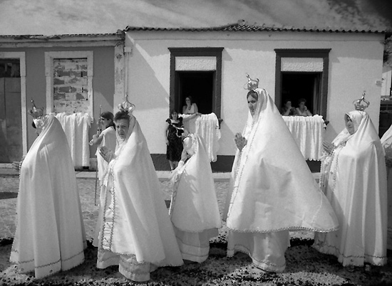 autor: Manuel Luís Cochofel