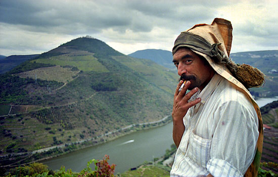 autor: José Gonçalves
t&iacute;tulo: Douro 4