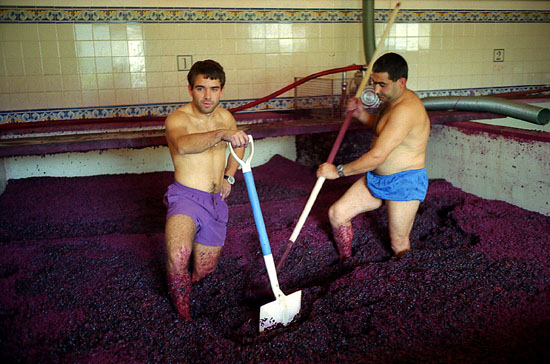 autor: José Gonçalves
t&iacute;tulo: Douro 12