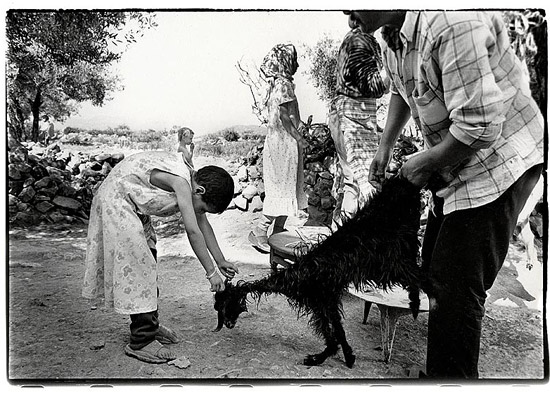 autor: Stefan Rohner
t&iacute;tulo: 18