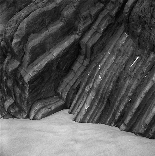 author : Manuel Luís Cochofel                    