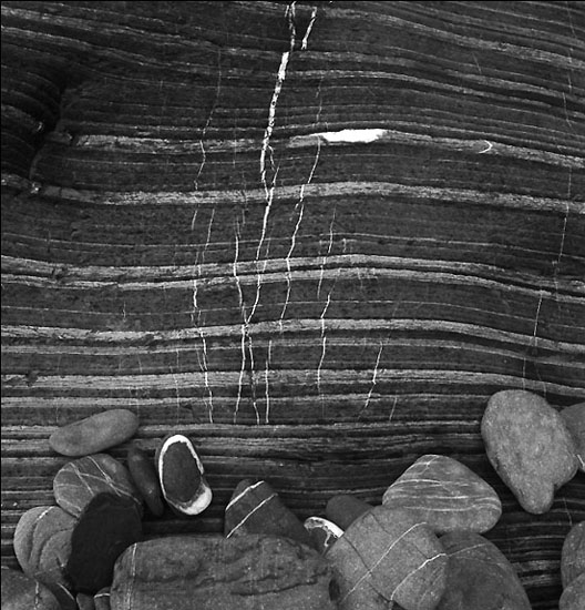 autor: Manuel Luís Cochofel