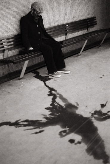 autor: José Gonçalves