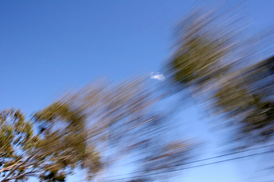 autor: Sofia Quintas