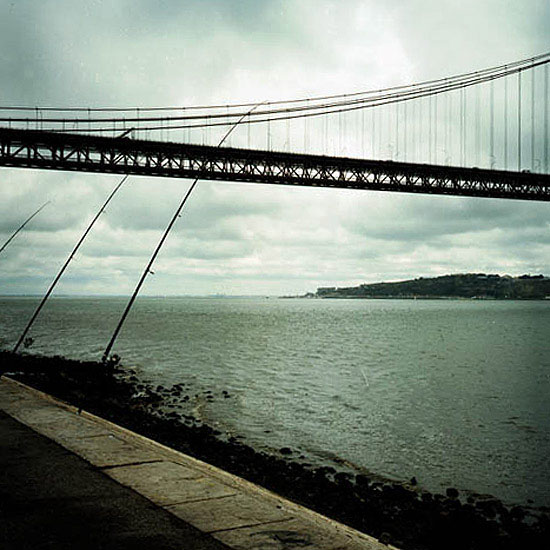 autor: Catarina Costa Cabral