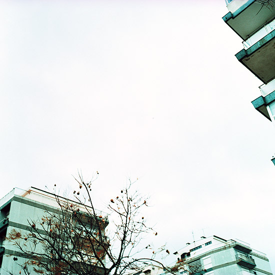 autor: Catarina Costa Cabral