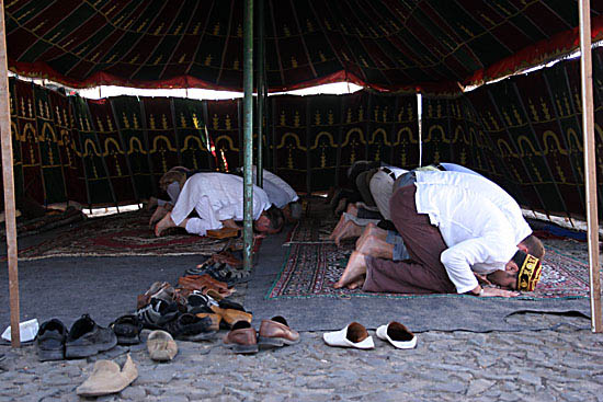 autor : Sofia Quintas                    