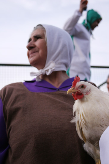 auteur: Sofia Quintas