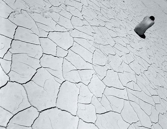 autor: Manuel Luís Cochofel