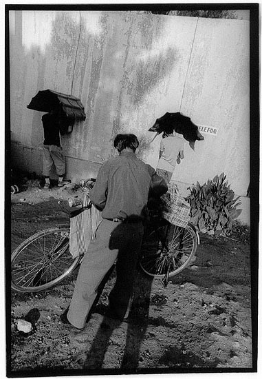 autor: Yves Rousselet
t&iacute;tulo: Velipoj  aout 2003