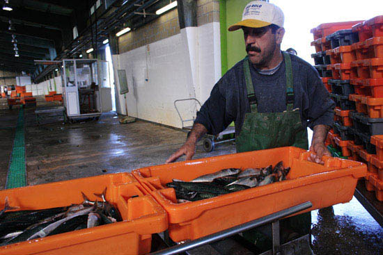 autor: Sofia Quintas