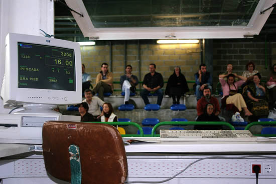 autor: Sofia Quintas