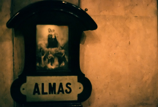 autor: Sofia Quintas