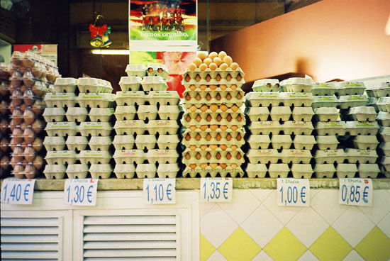 autor: José Gonçalves