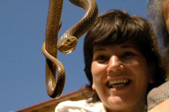 autor : Patricia Moreira                    