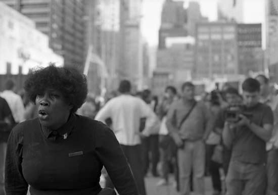 autor: Manuel Luís Cochofel