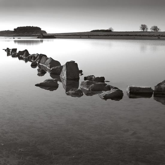 autor: Carlos Matos
t&iacute;tulo: estruturas&coberturas XI