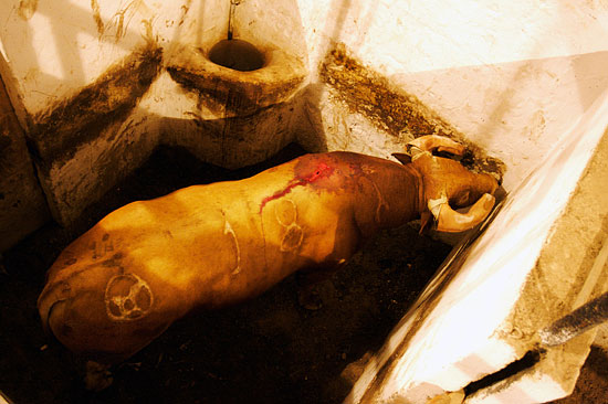 autor: Joost De Raeymaeker