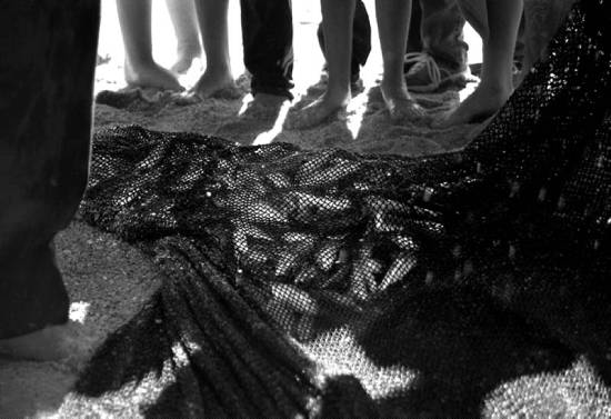 autor: Sofia Quintas