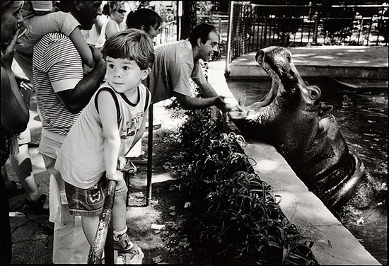 autor: Stefan Rohner
t&iacute;tulo: Barcelona