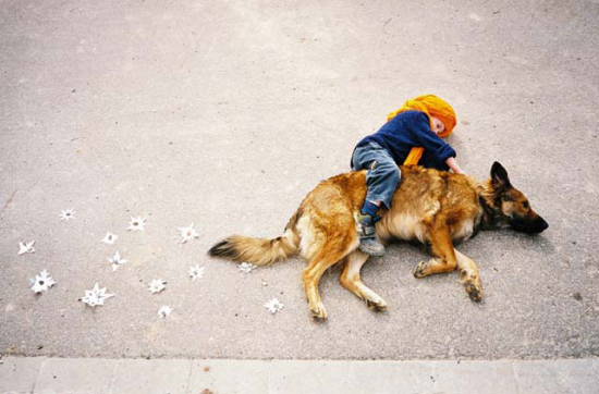 autor: Jan Von Holleben
t&iacute;tulo: The Dogrider