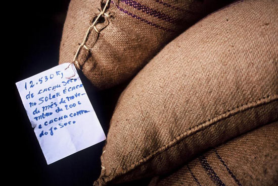 autor: Tânia Araújo