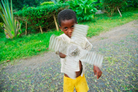 autor: Tânia Araújo