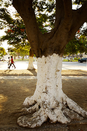 autor: Joost De Raeymaeker