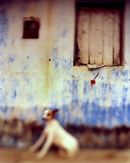 autor: Cláudio Edinger