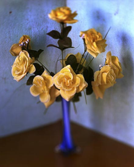 autor: Cláudio Edinger