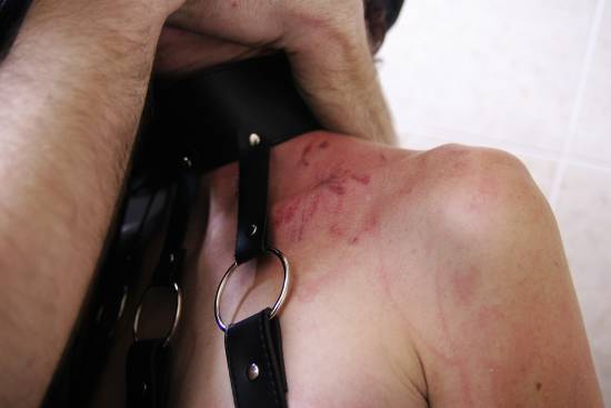 autor: Sofia Quintas