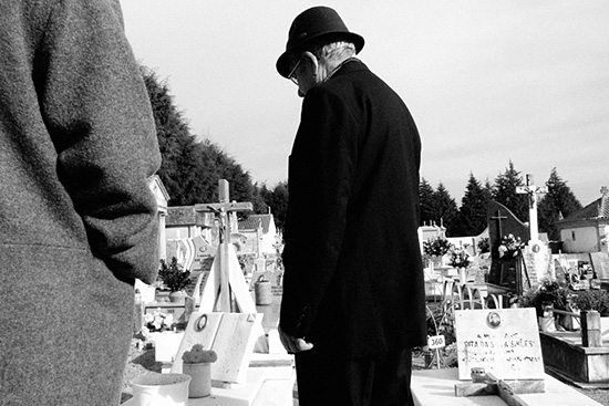 autor: António Luís Campos