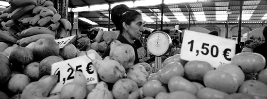 autor: Luísa Ferreira