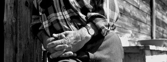 autor: Luísa Ferreira