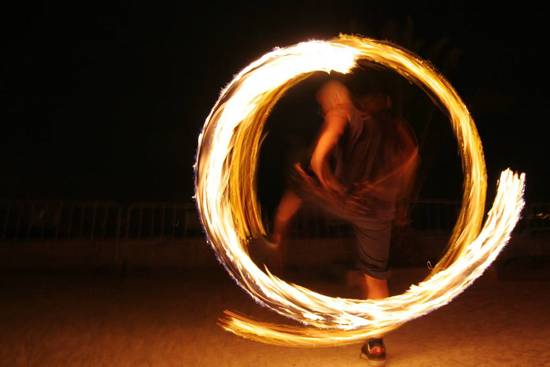 autor: Sofia Quintas