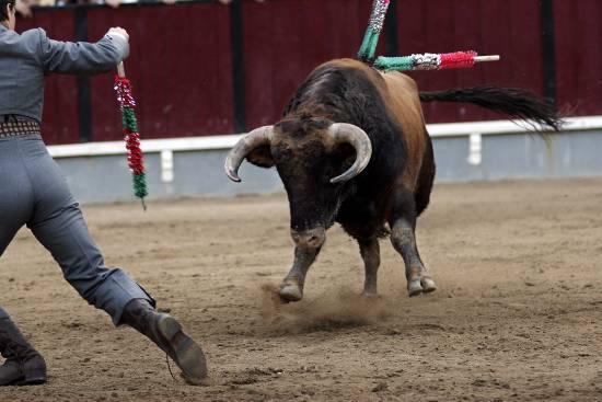 autor: Sofia Quintas