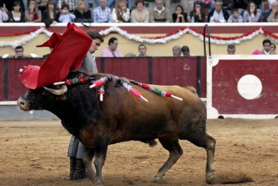 author : Sofia Quintas                    